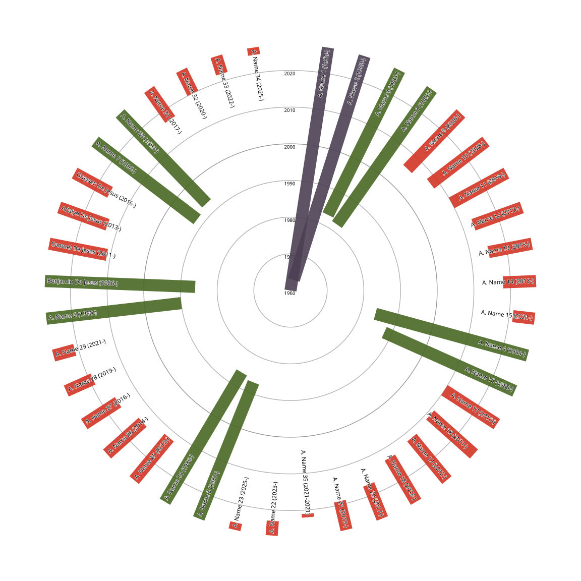 Descendants Family Tree Print