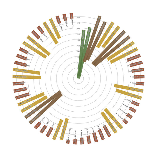 Descendants Family Tree Print