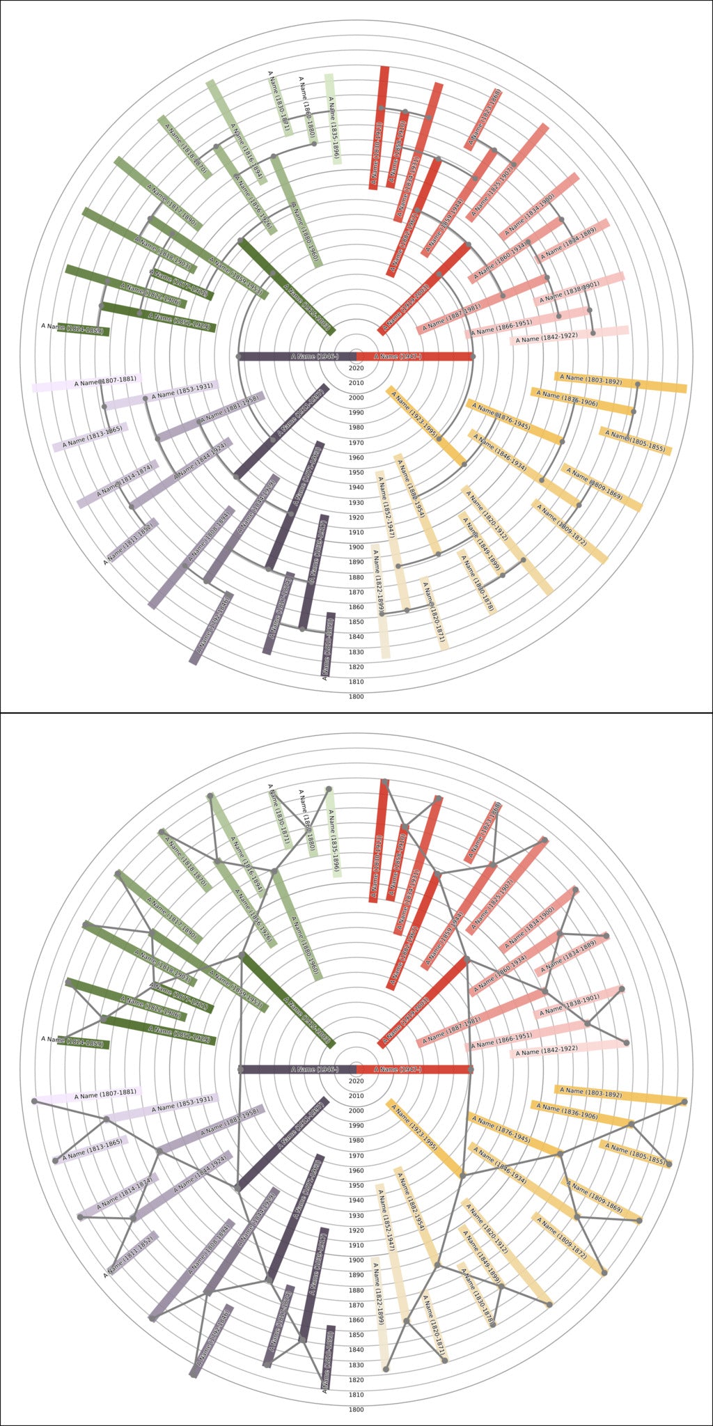 Sunburst Family Tree Print
