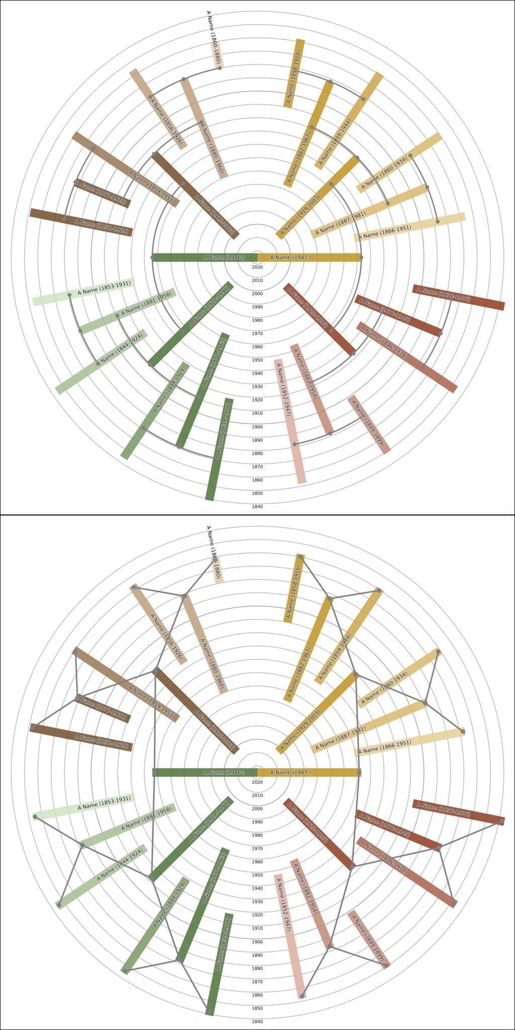 Sunburst Family Tree Print