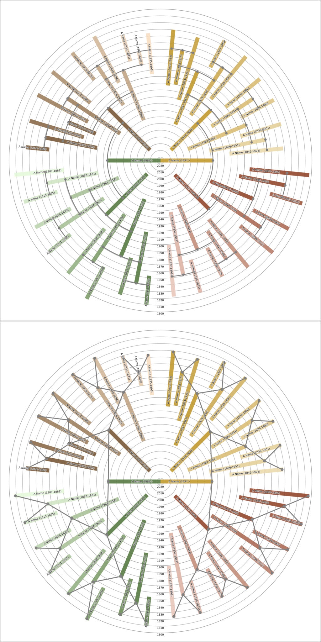 Sunburst Family Tree Print