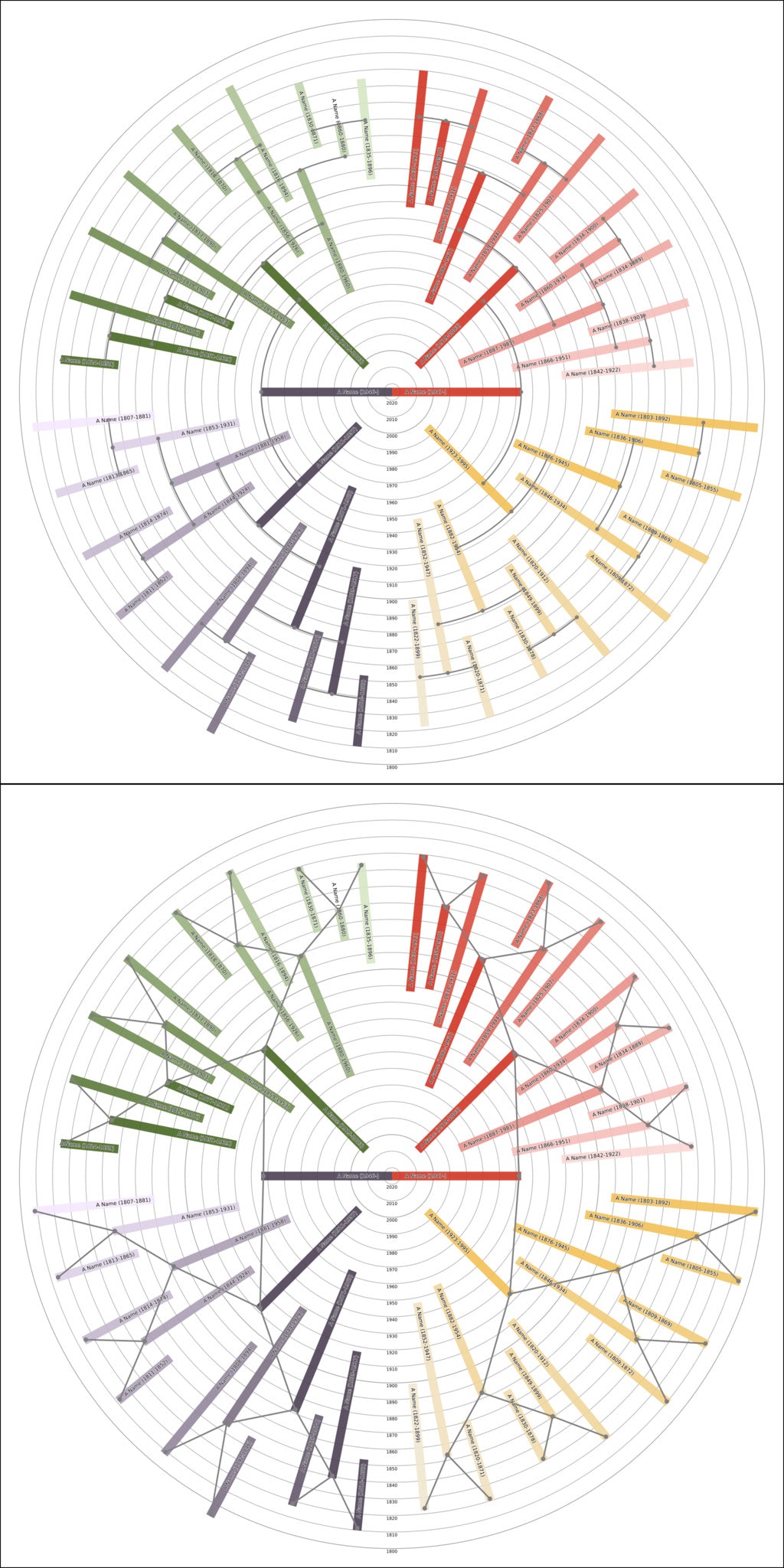 Sunburst Family Tree Print