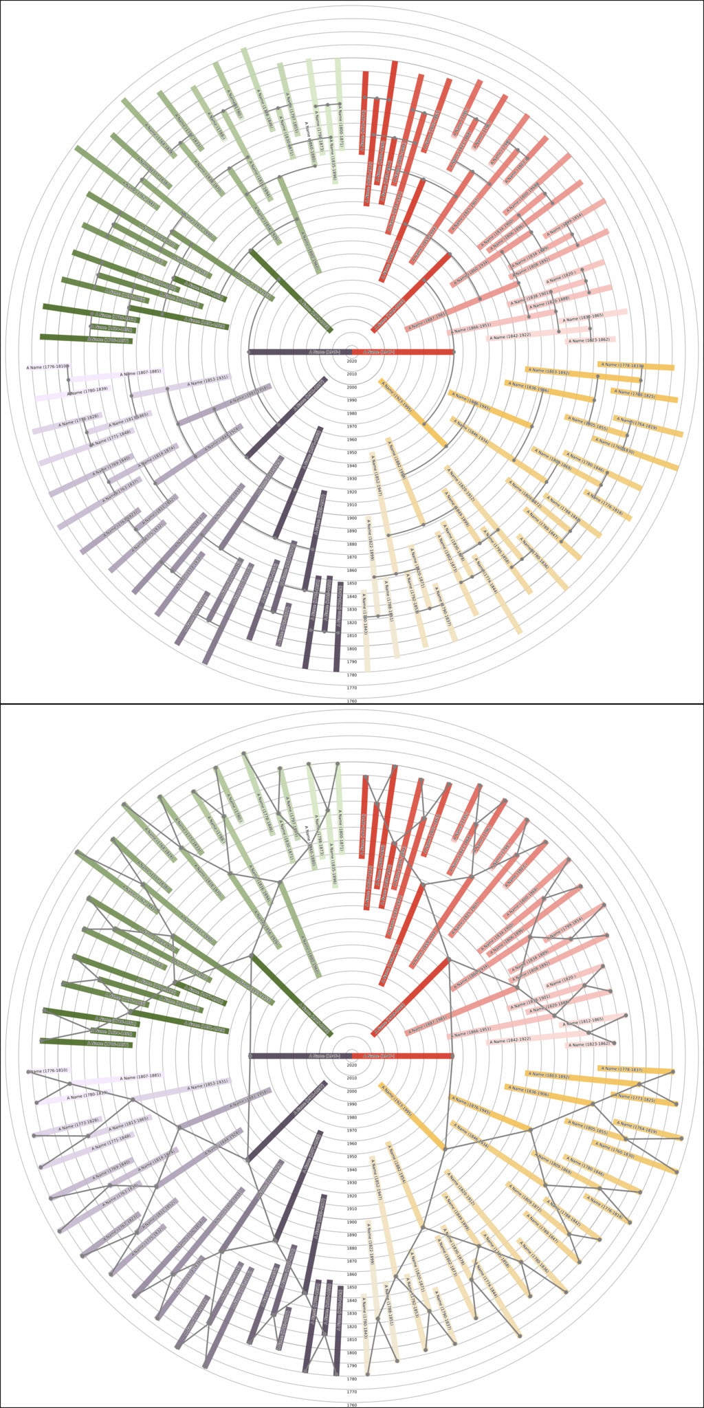 Sunburst Family Tree Print