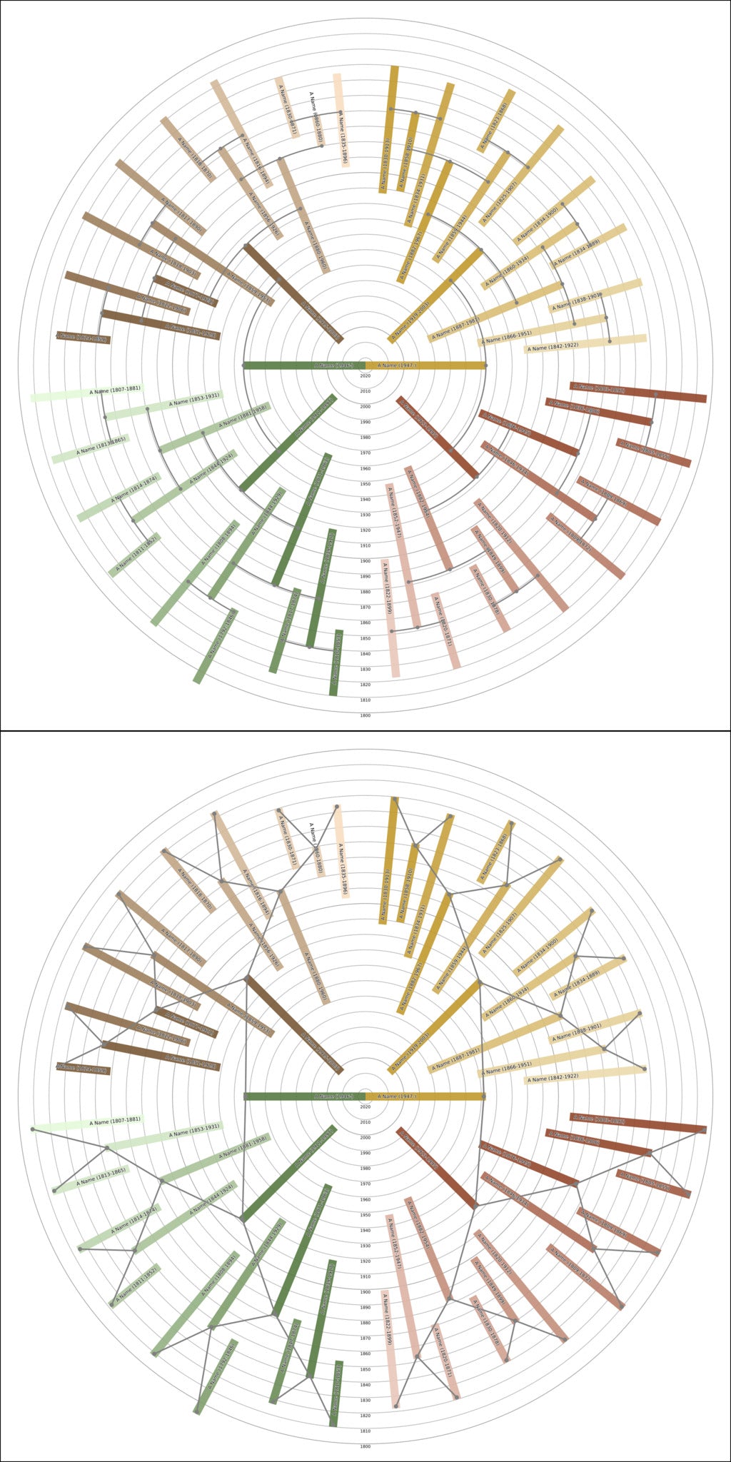 Sunburst Family Tree Print