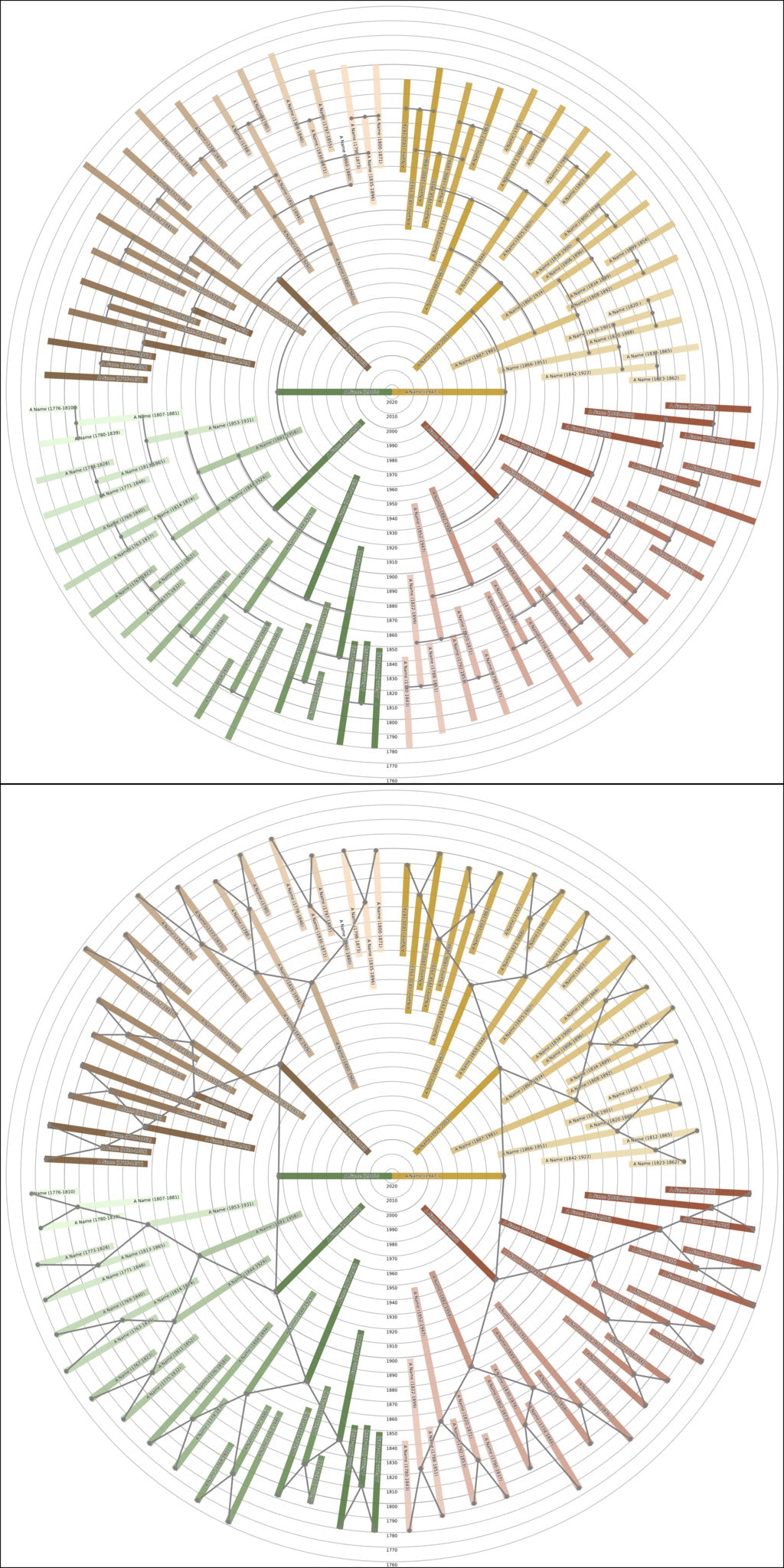 Sunburst Family Tree Print