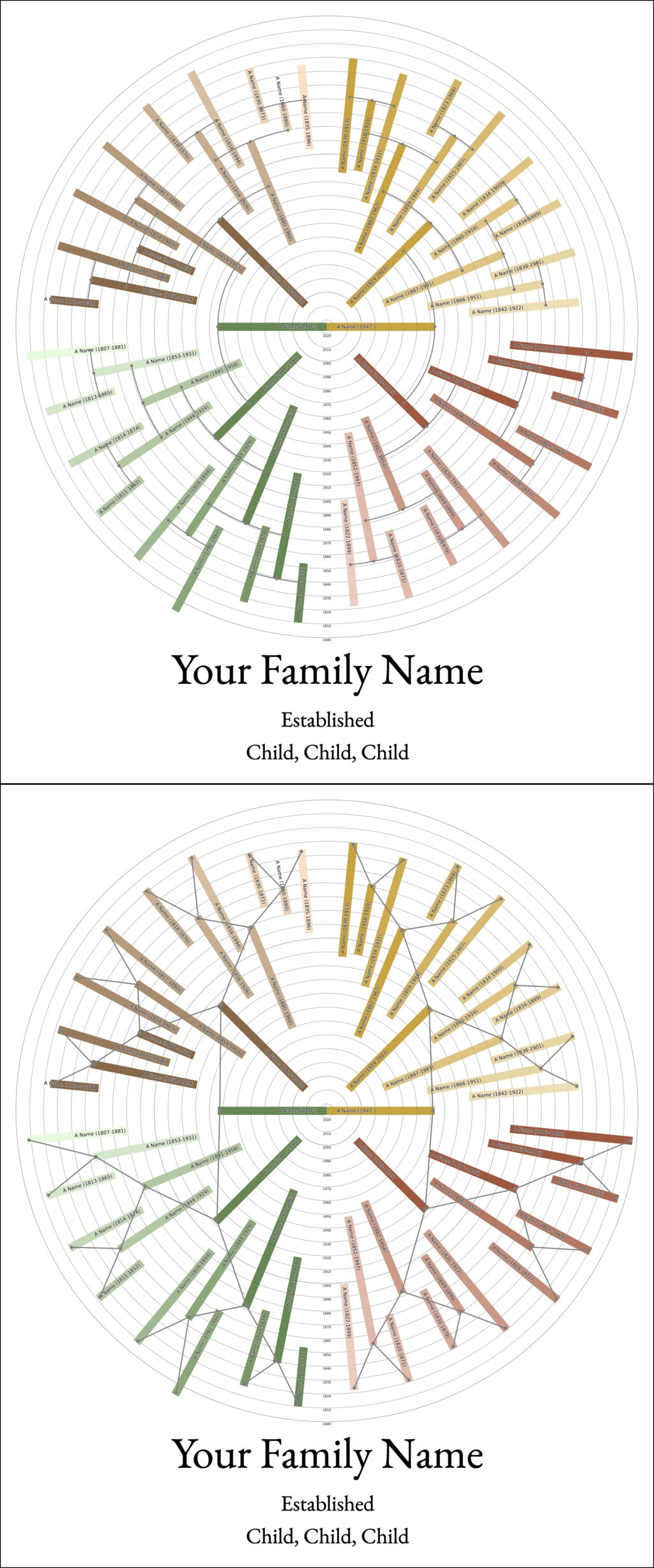 Sunburst Family Tree Print