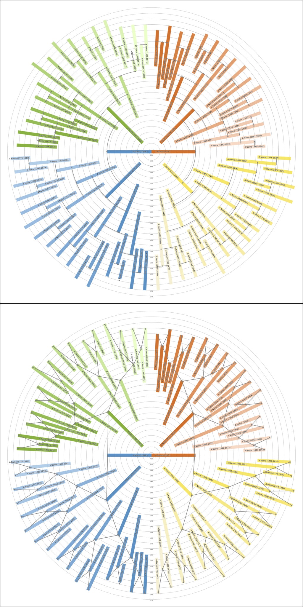 Sunburst Family Tree Print