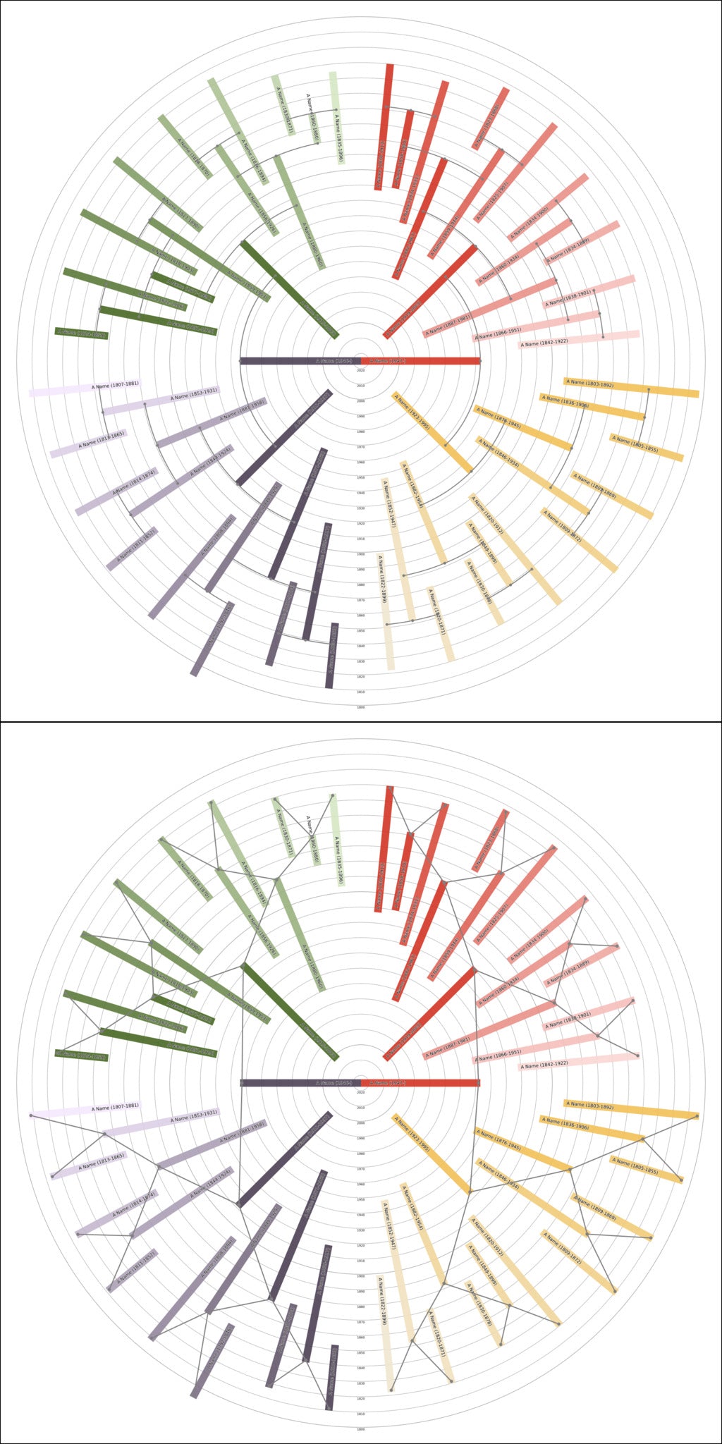 Sunburst Family Tree Print