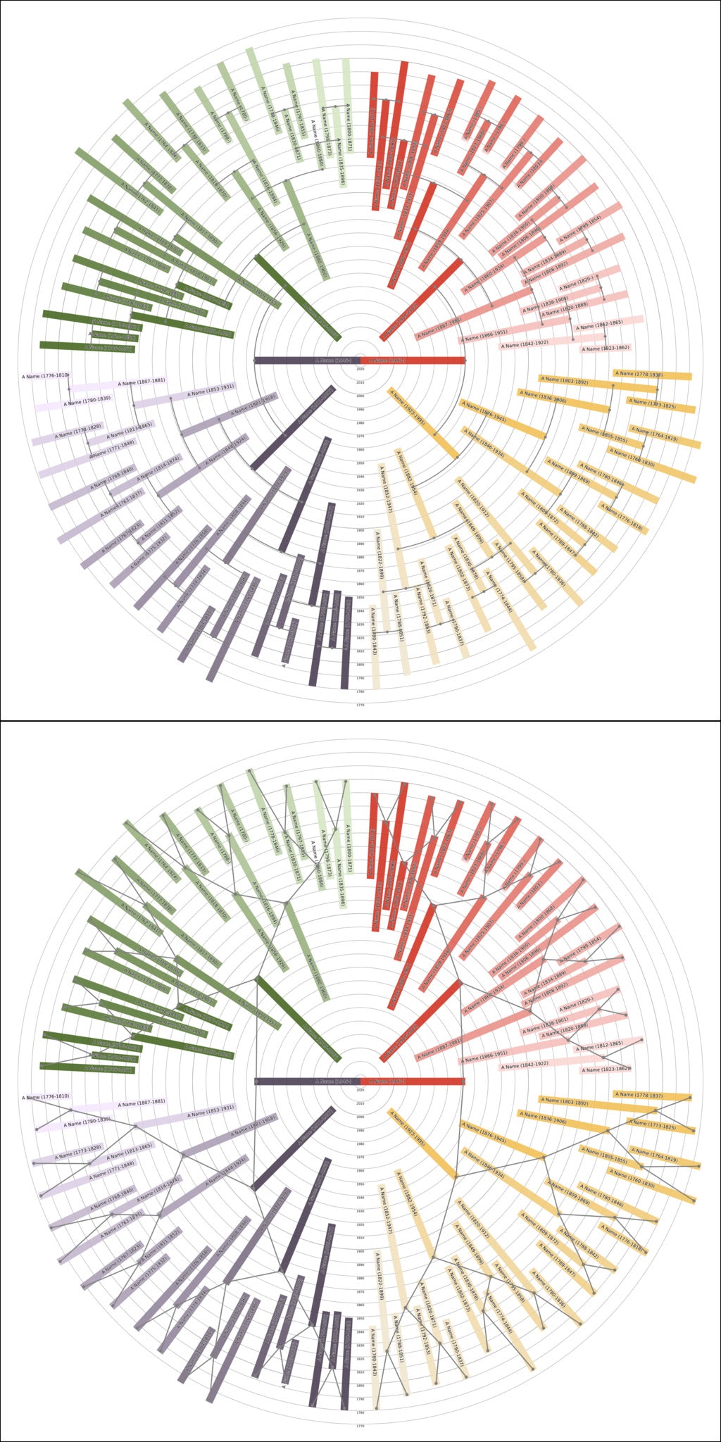 Sunburst Family Tree Print