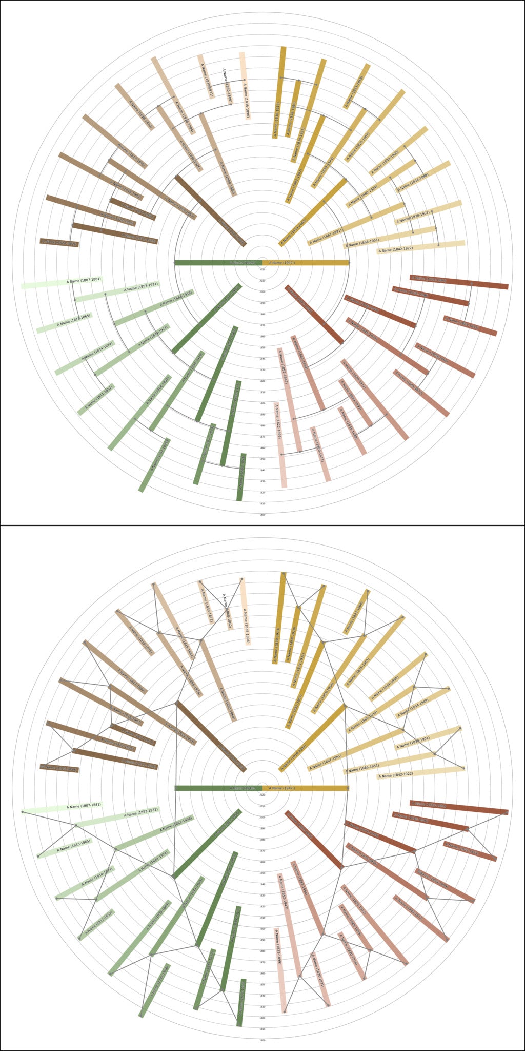 Sunburst Family Tree Print