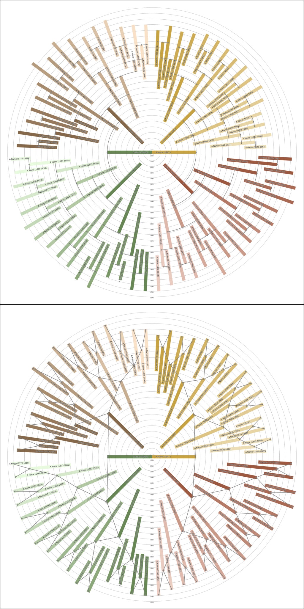 Sunburst Family Tree Print