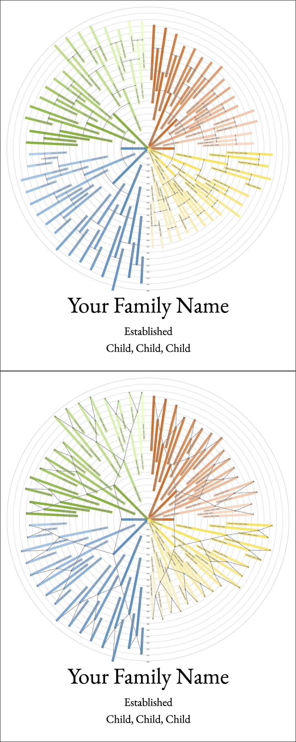 Sunburst Family Tree Print