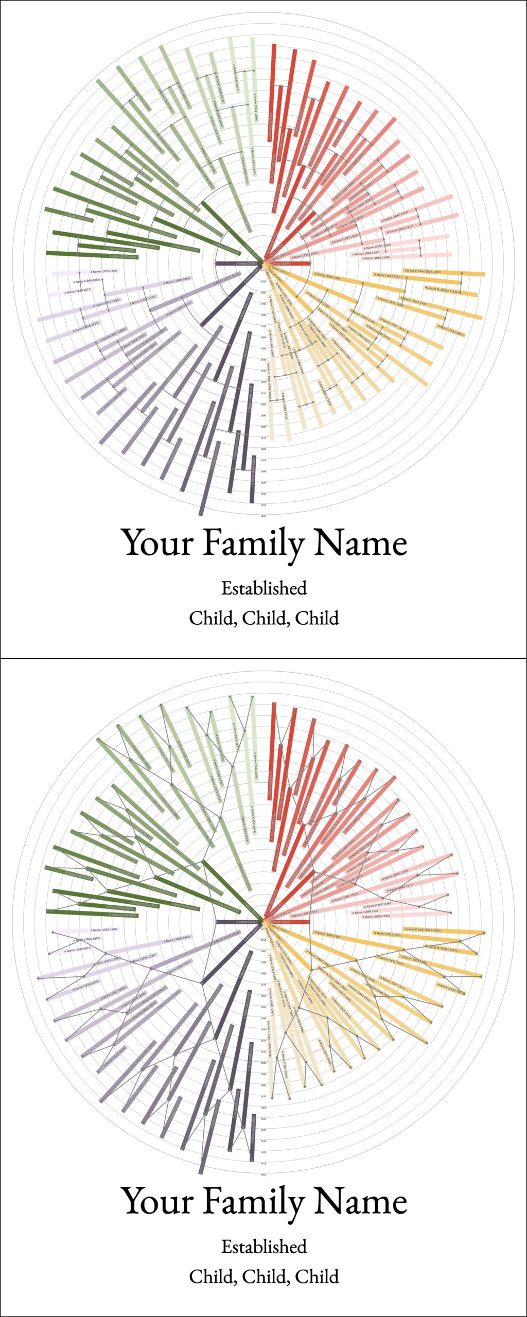 Sunburst Family Tree Print