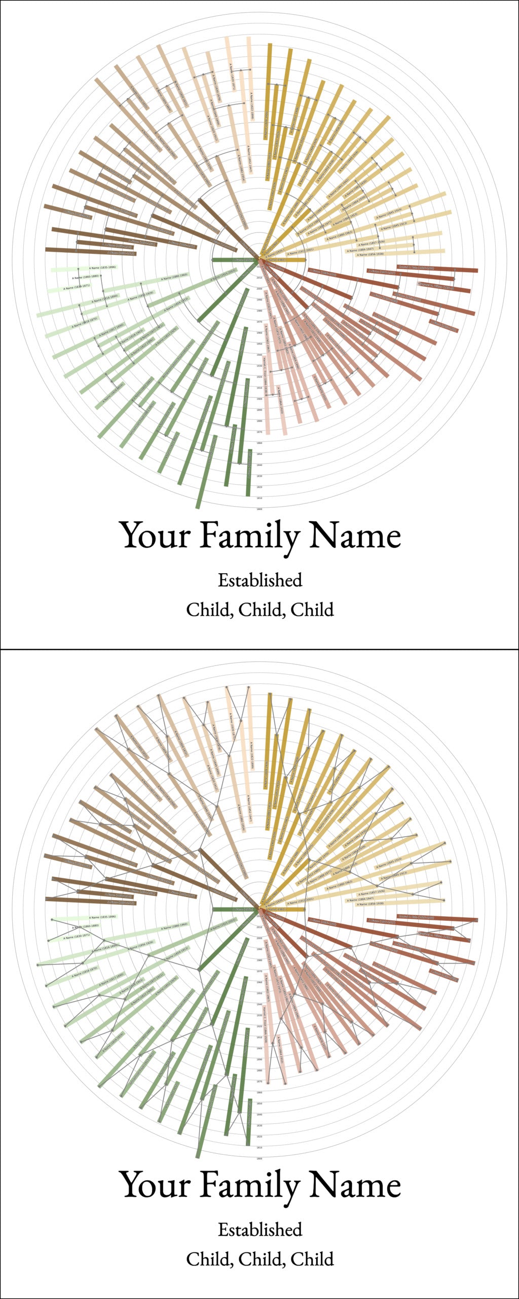 Sunburst Family Tree Print