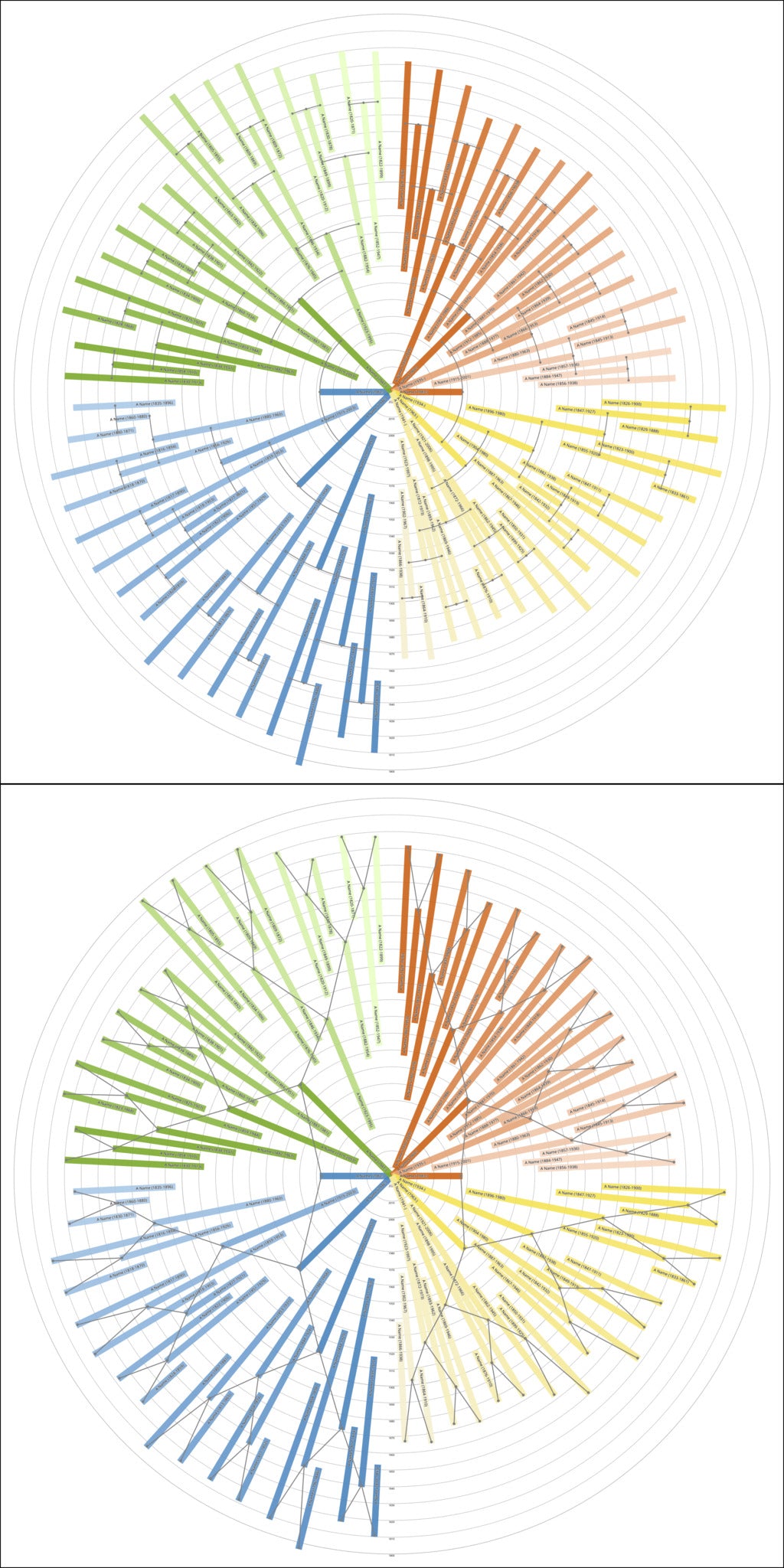 Sunburst Family Tree Print