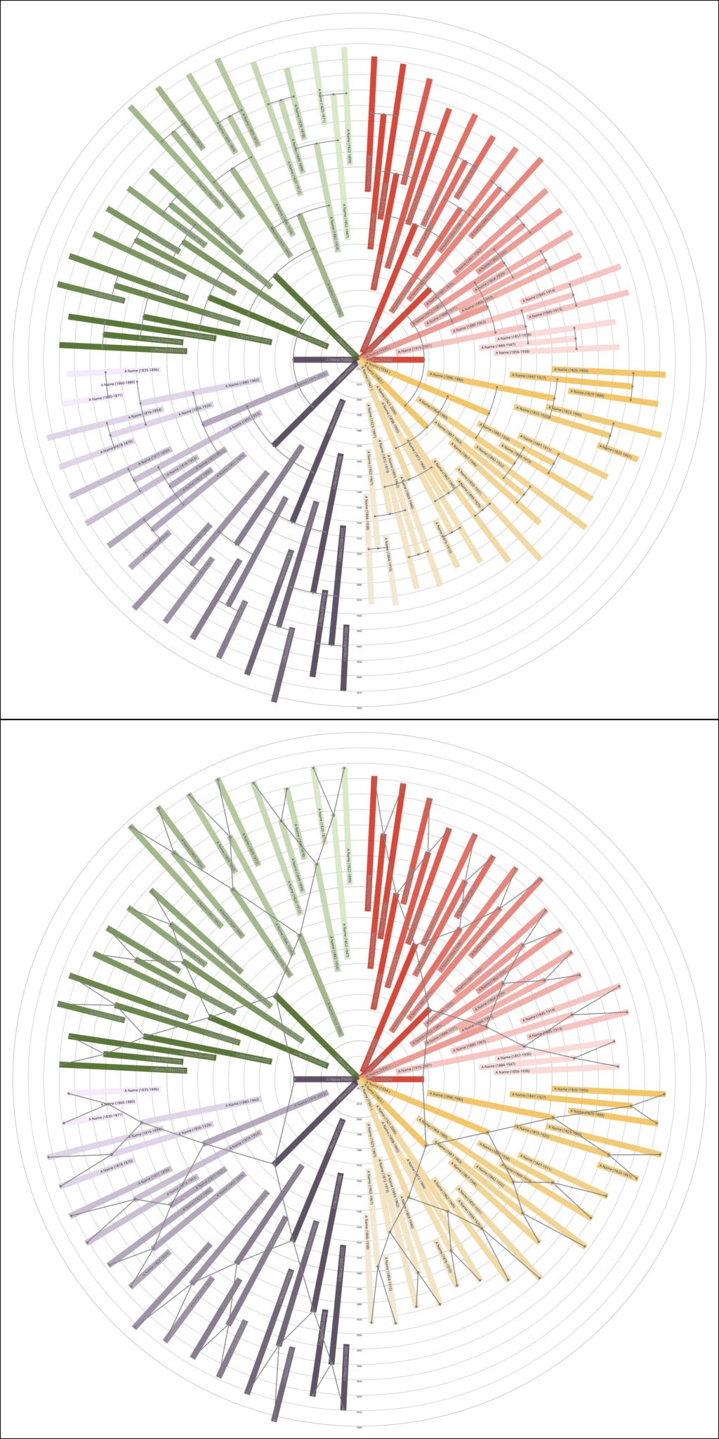 Sunburst Family Tree Print