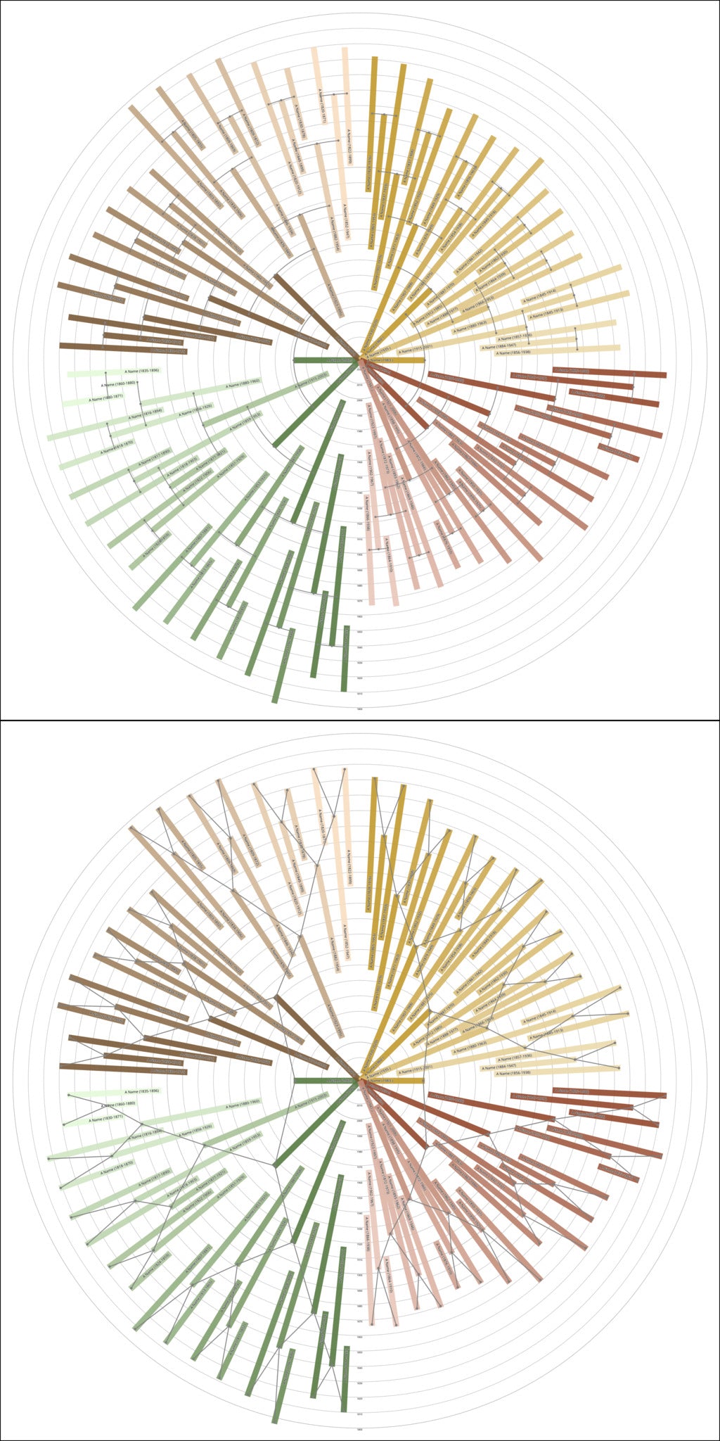 Sunburst Family Tree Print