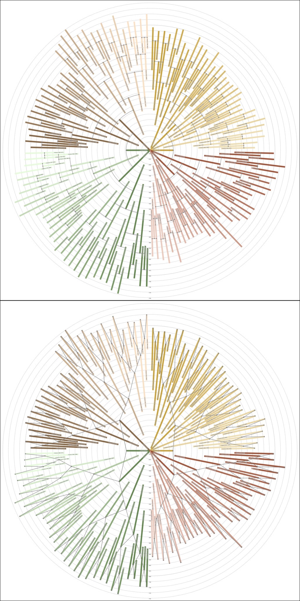 Sunburst Family Tree Print