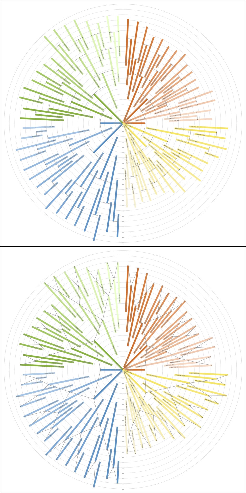 Sunburst Family Tree Print