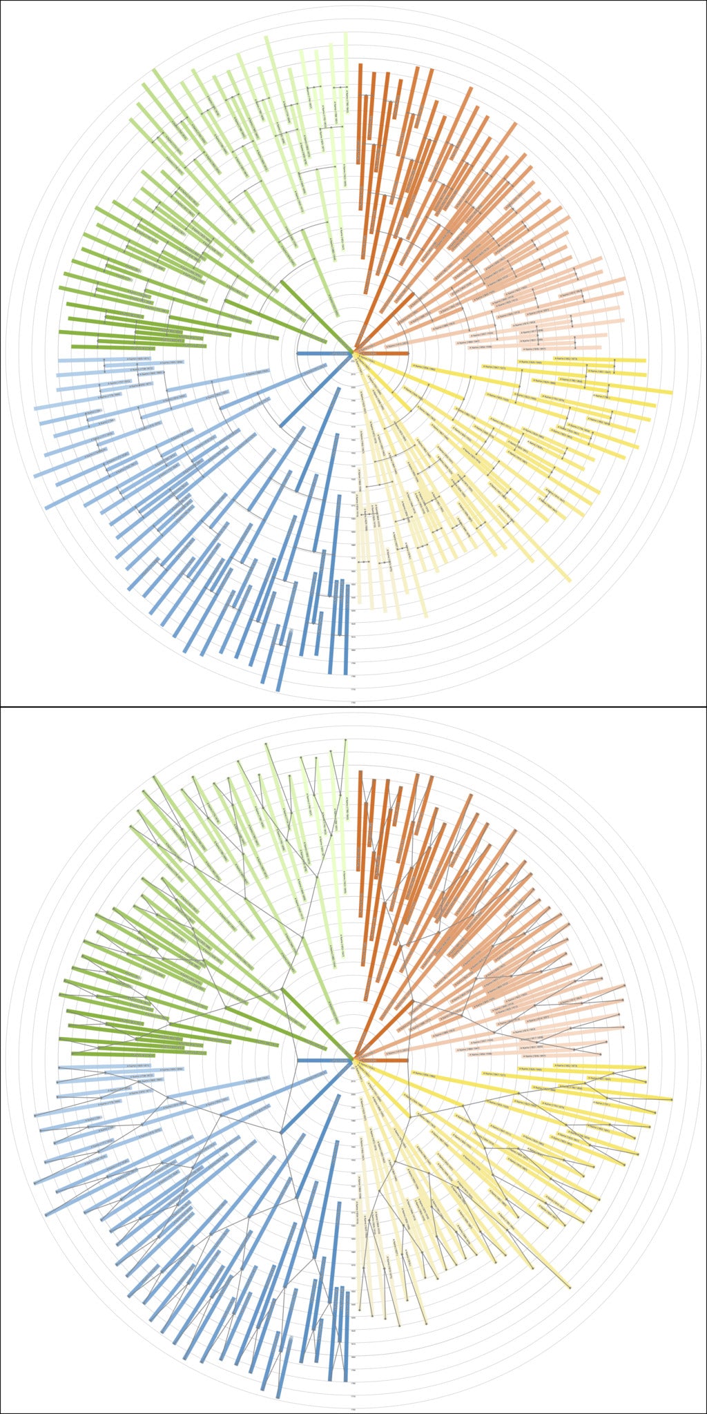 Sunburst Family Tree Print