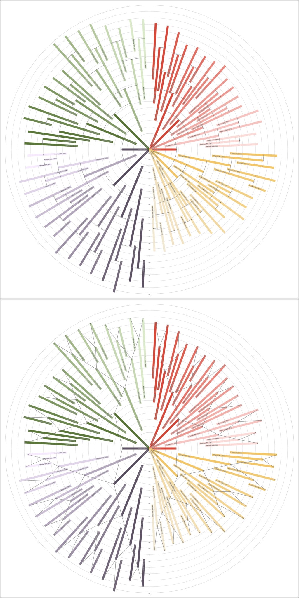 Sunburst Family Tree Print