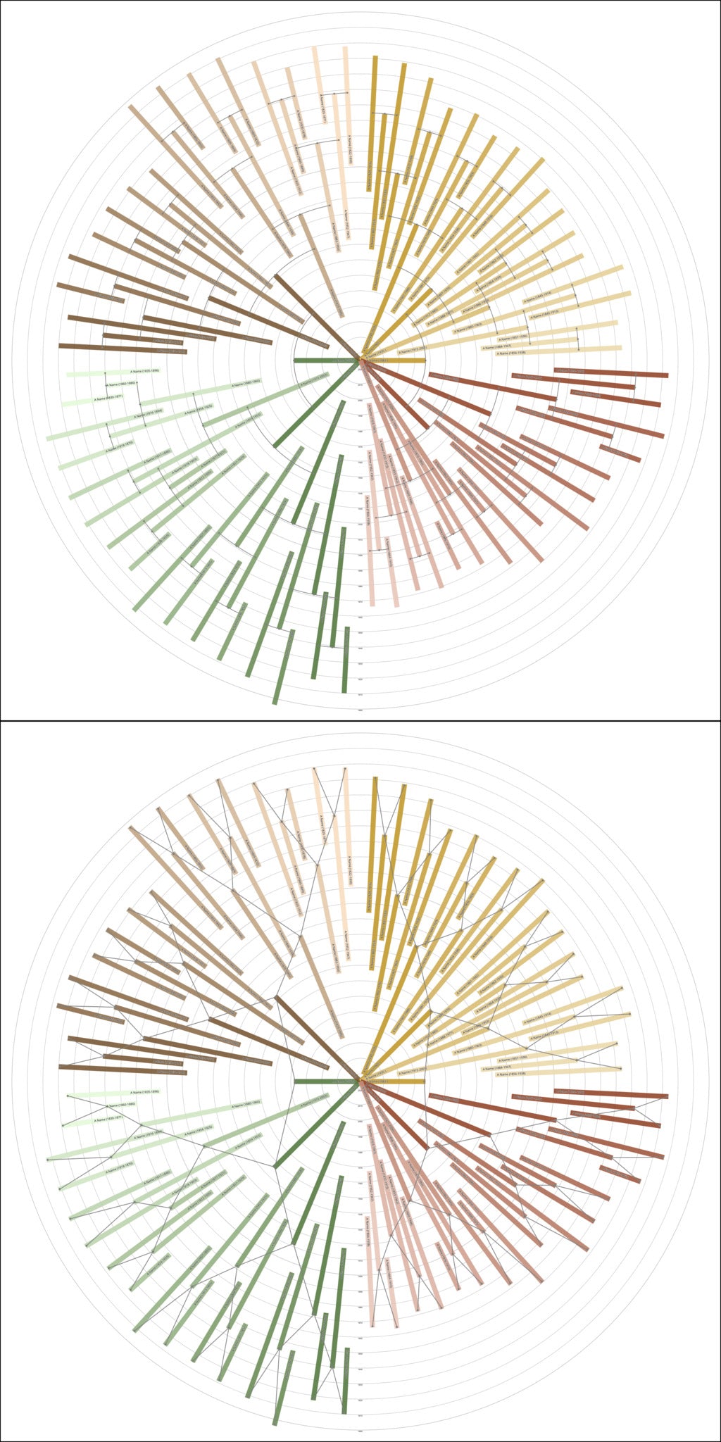 Sunburst Family Tree Print