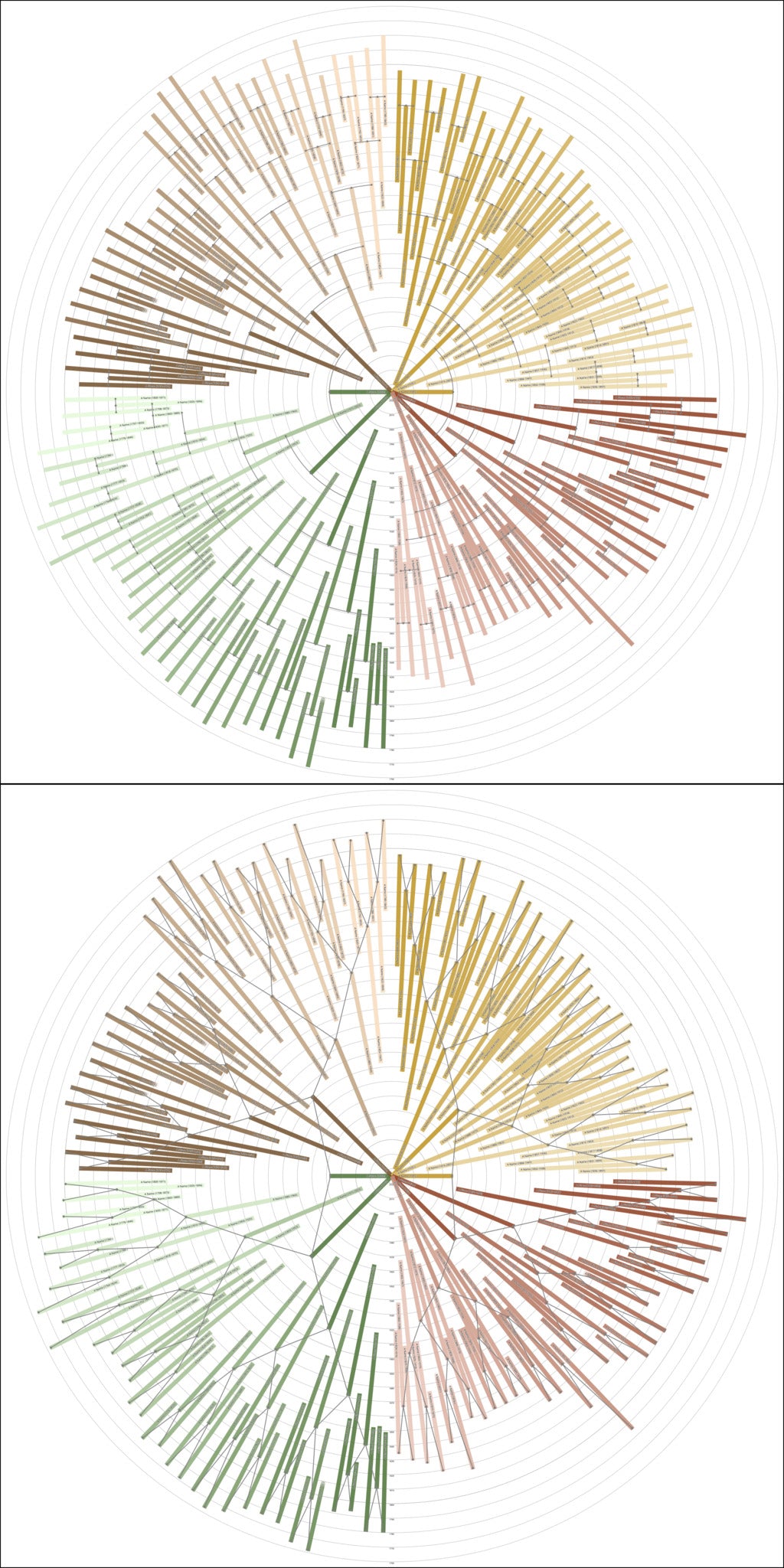 Sunburst Family Tree Print