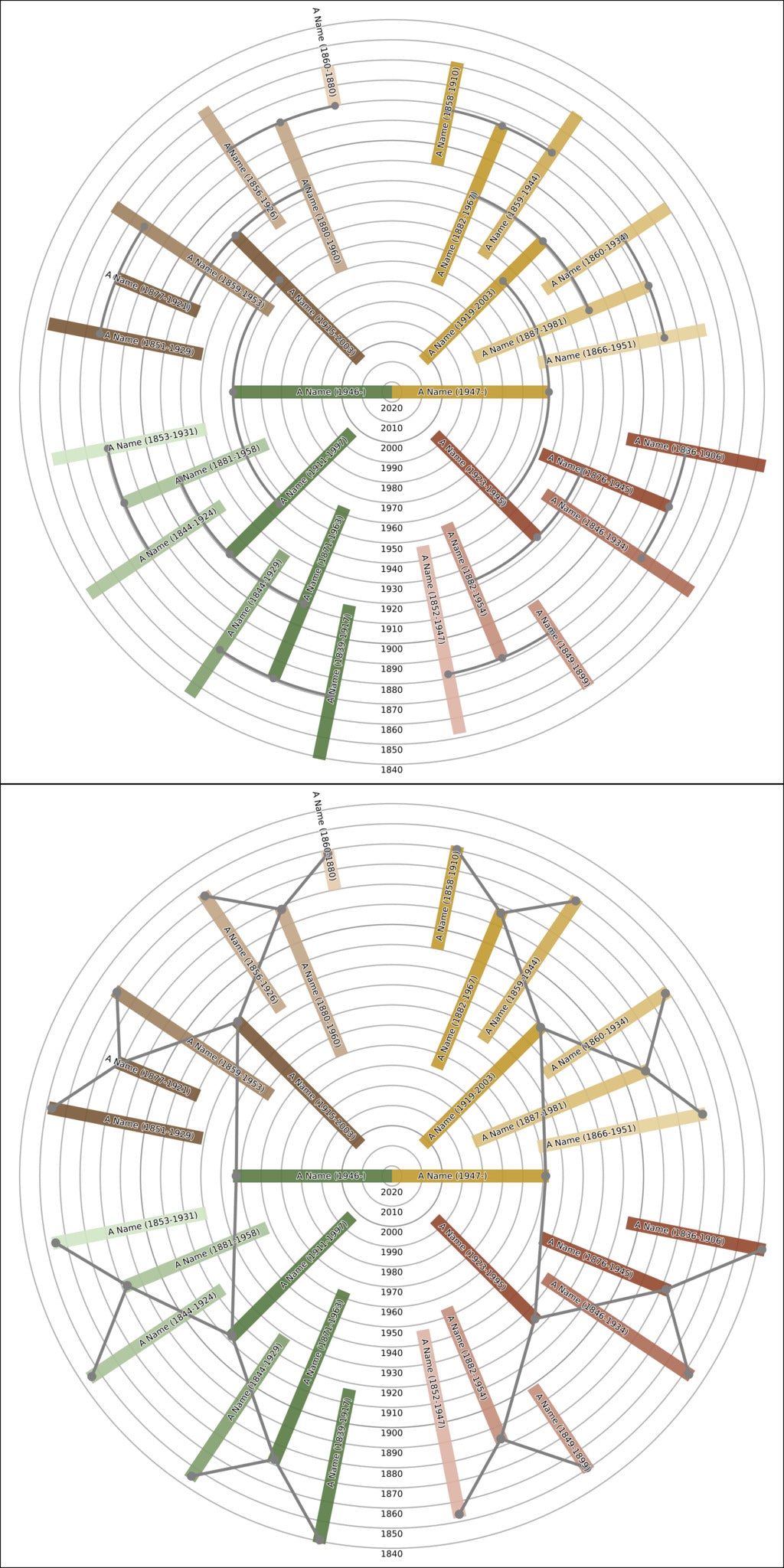 Sunburst Family Tree Print