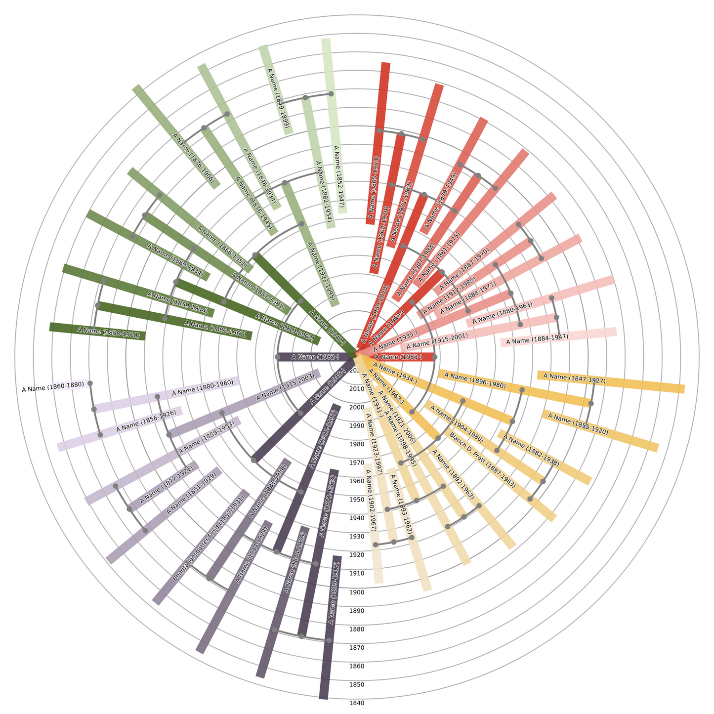 Sunburst Family Tree Print