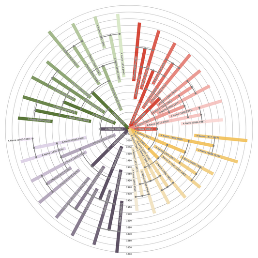 Sunburst Family Tree Print
