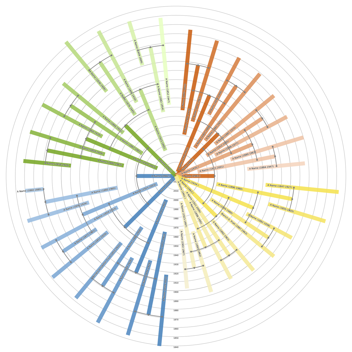 Sunburst Family Tree Print