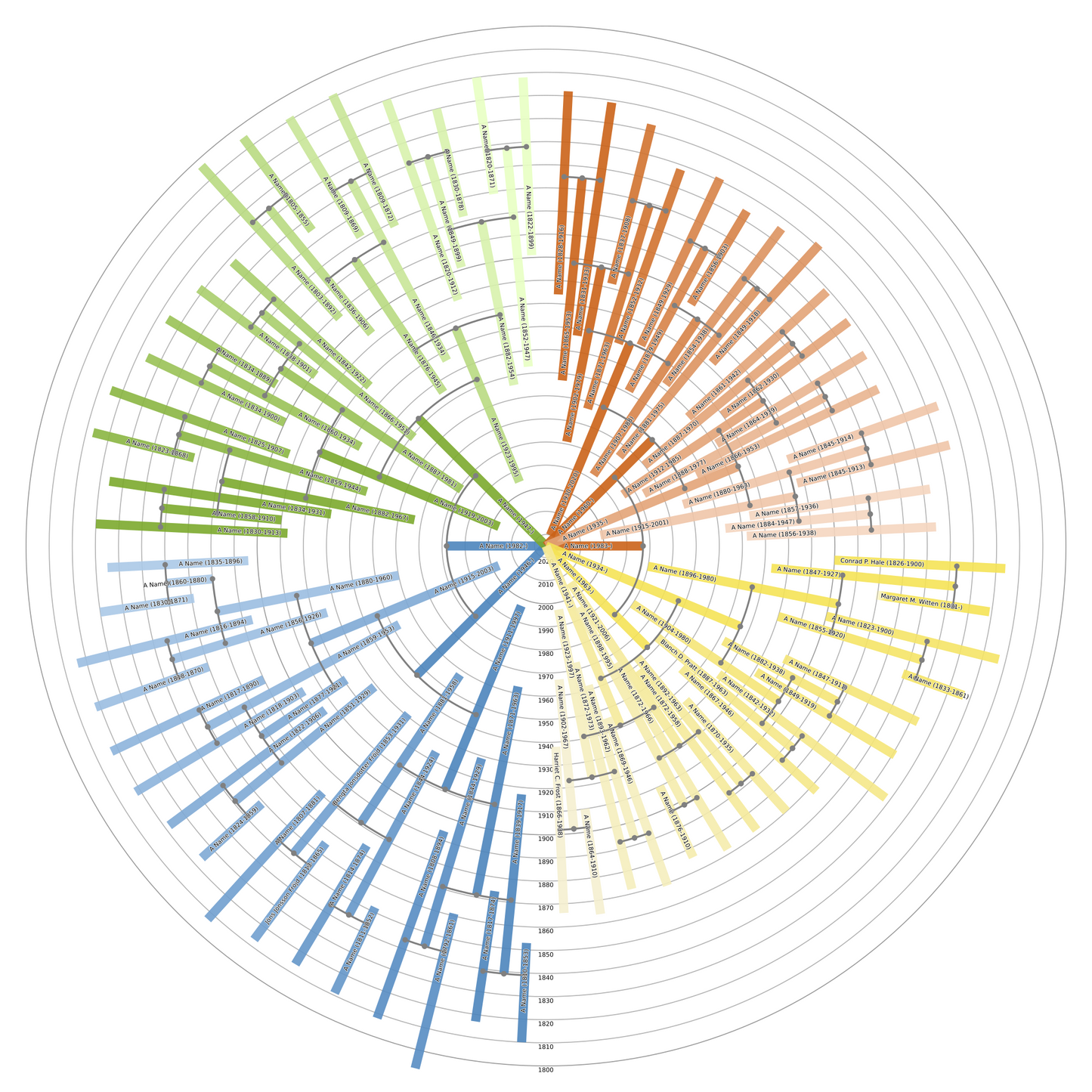 Sunburst Family Tree Print