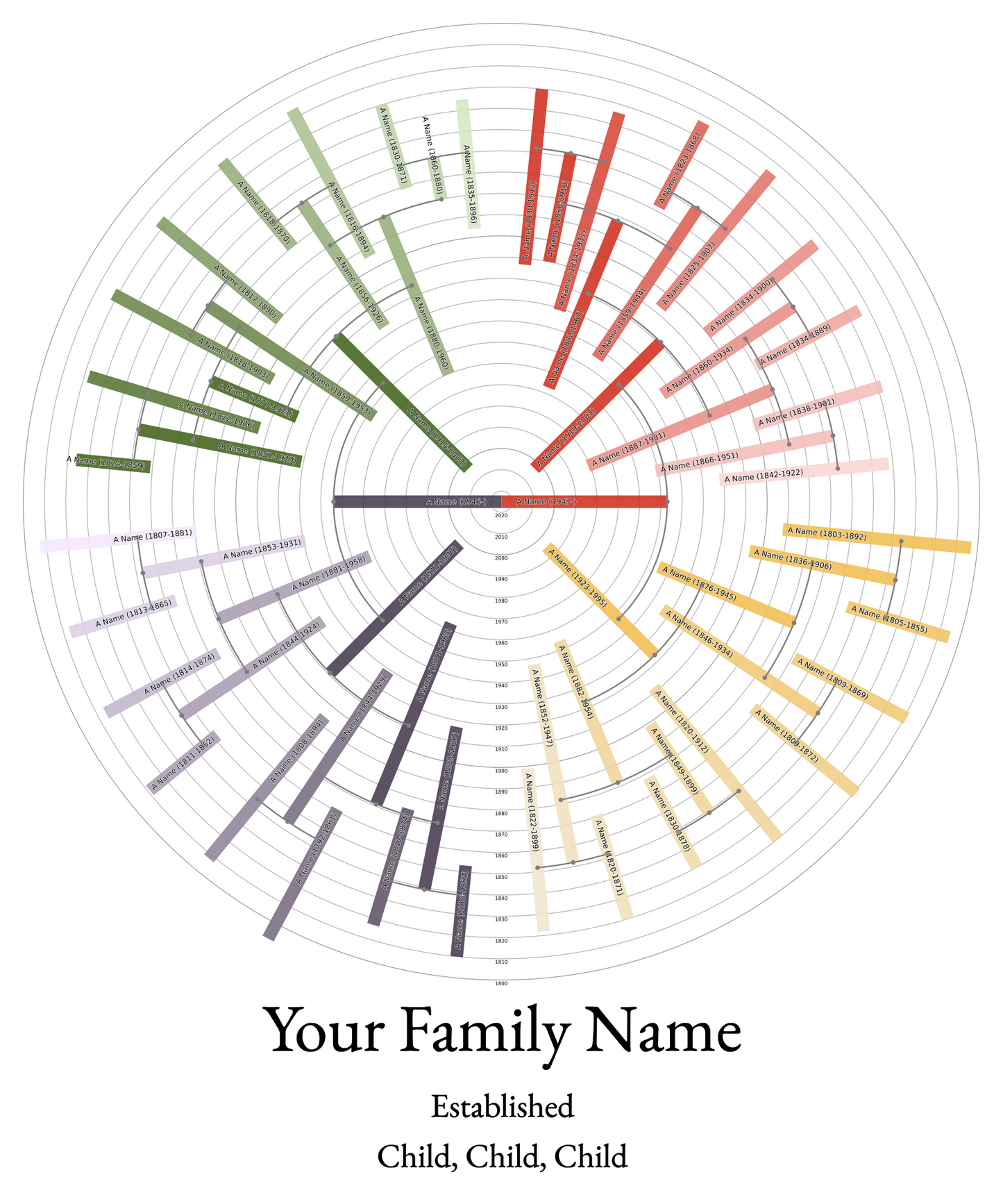 Sunburst Family Tree Print