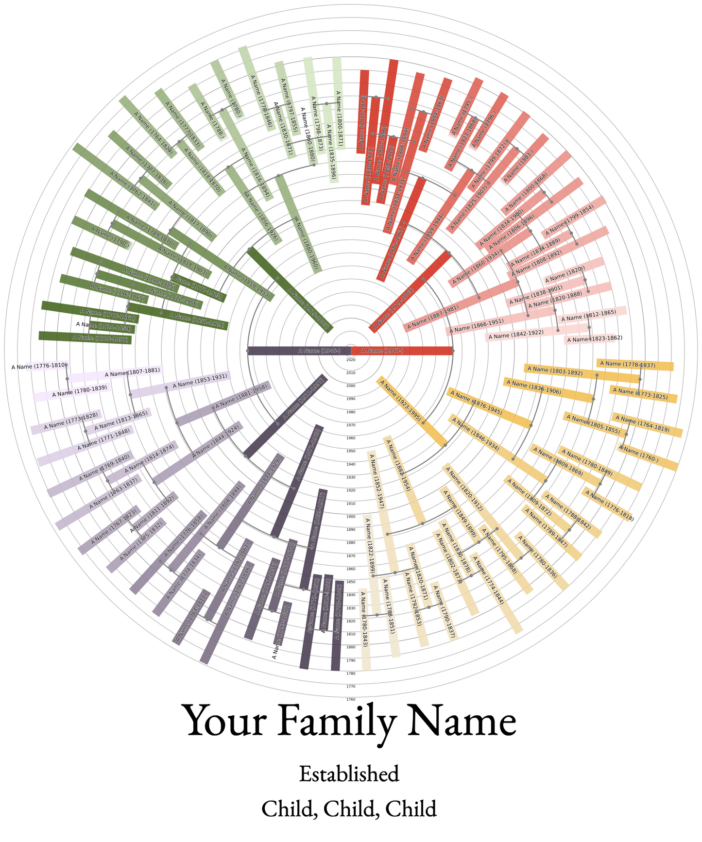 Sunburst Family Tree Print