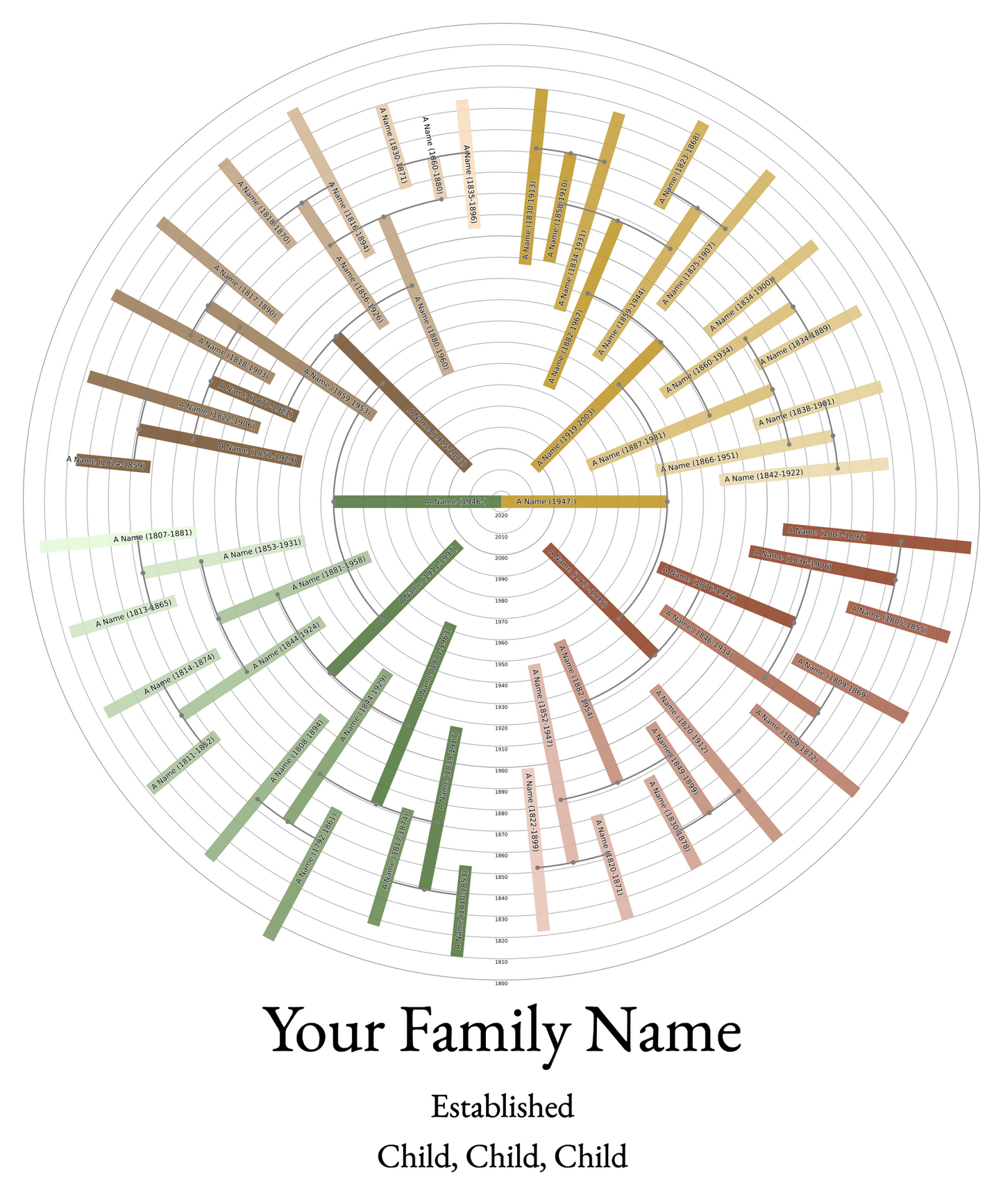 Sunburst Family Tree Print
