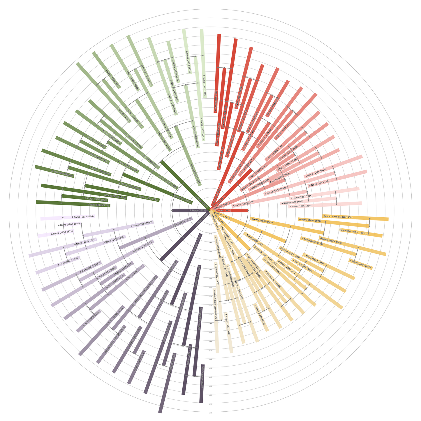 Sunburst Family Tree Print