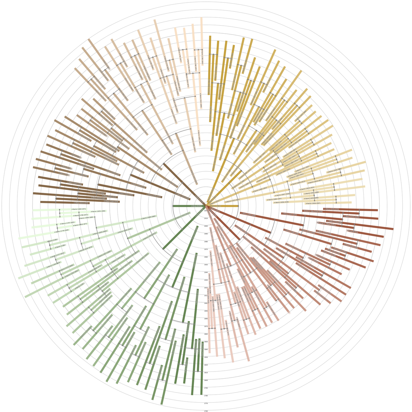 Sunburst Family Tree Print