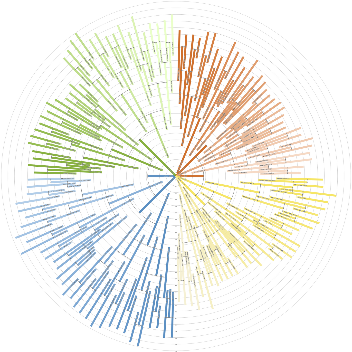 Sunburst Family Tree Print