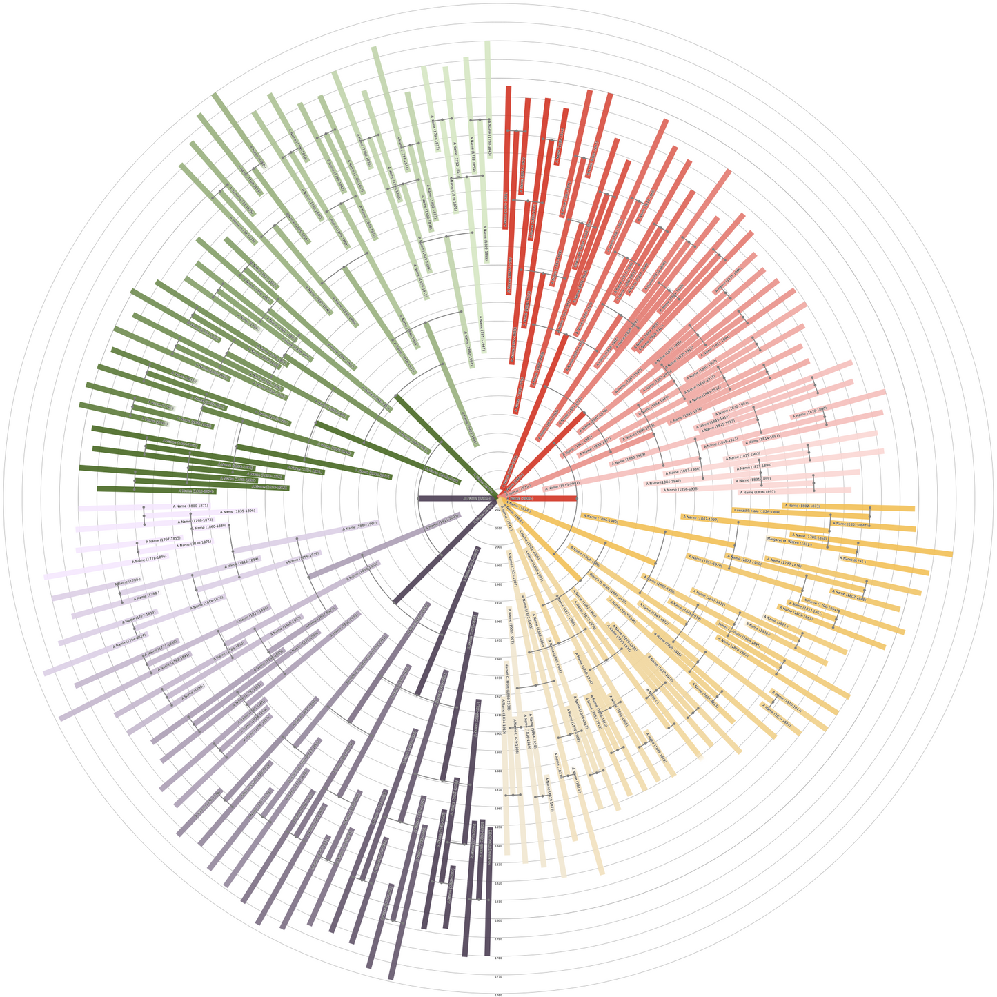 Sunburst Family Tree Print