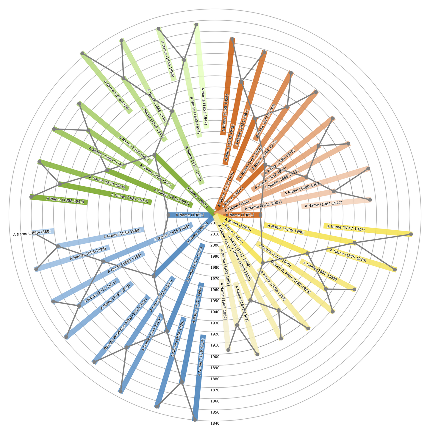 Sunburst Family Tree Print