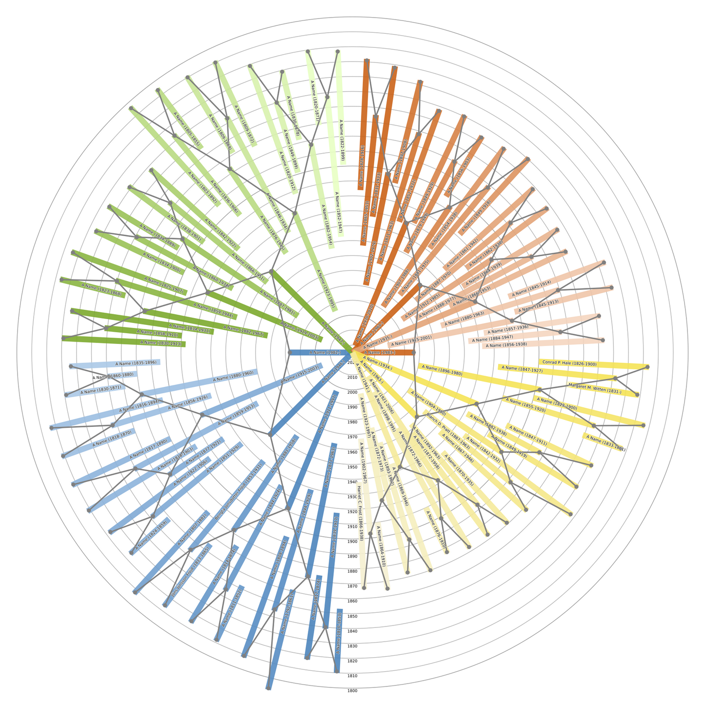 Sunburst Family Tree Print