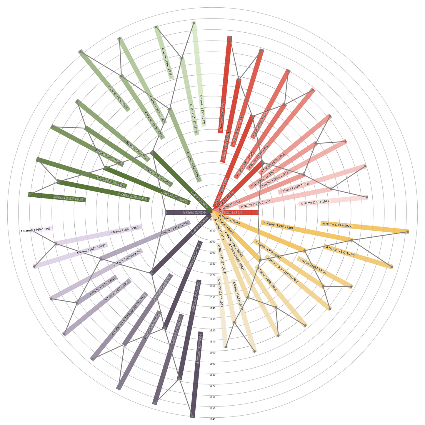Sunburst Family Tree Print