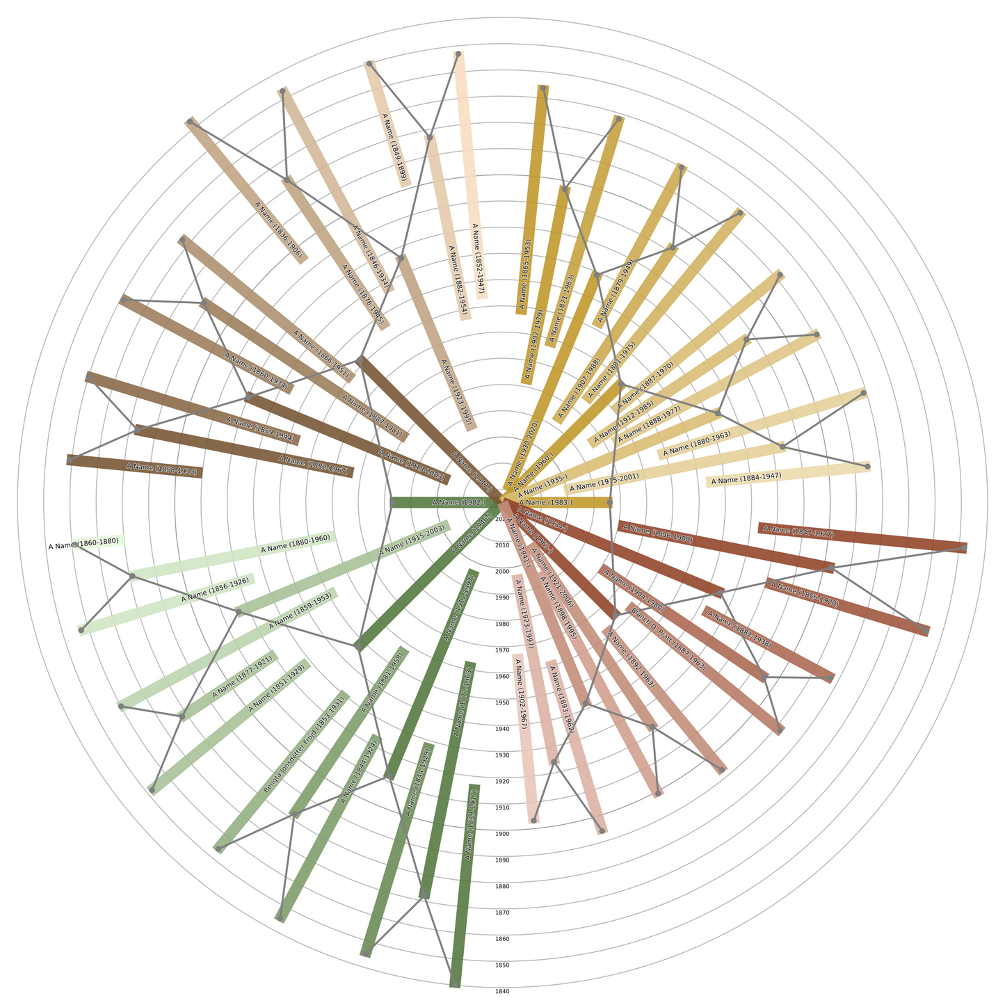 Sunburst Family Tree Print