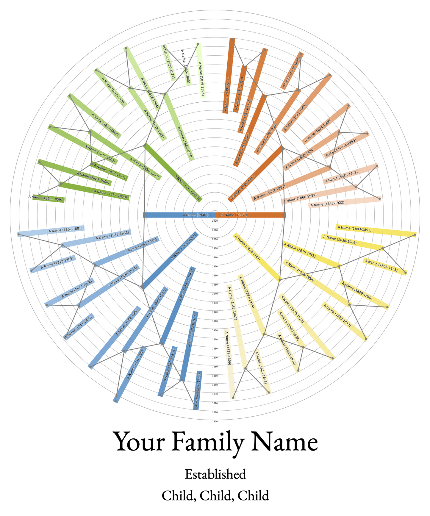 Sunburst Family Tree Print