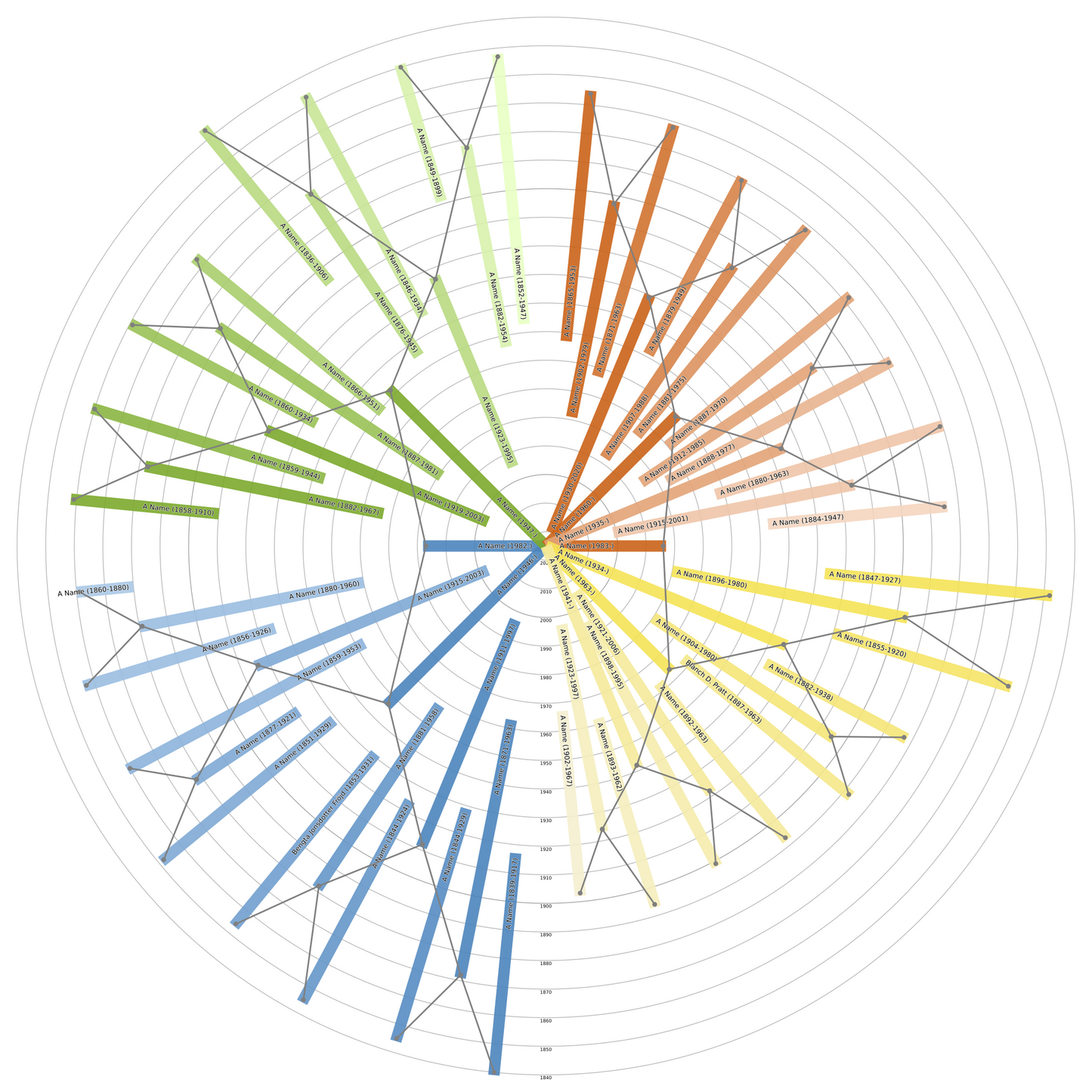 Sunburst Family Tree Print