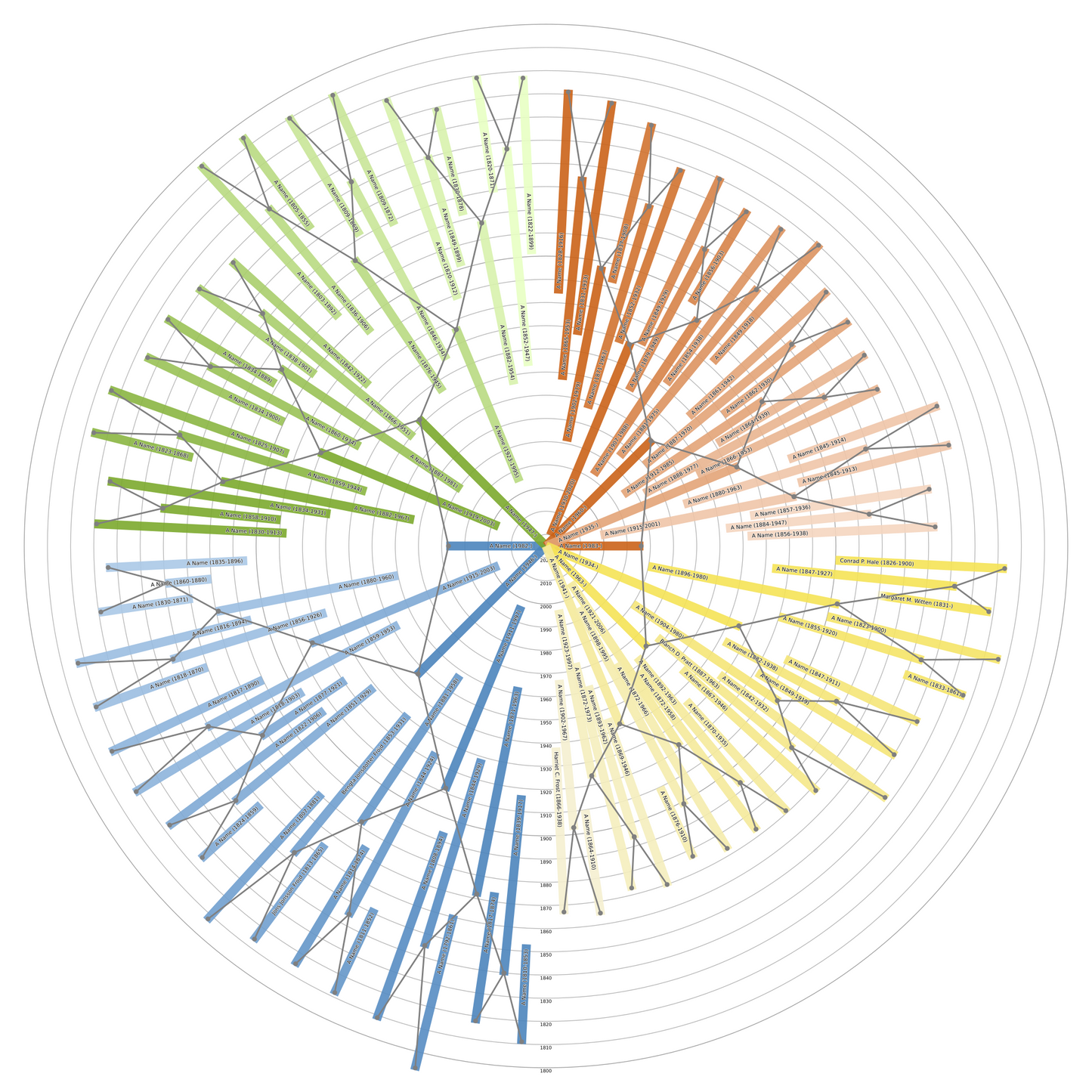 Sunburst Family Tree Print
