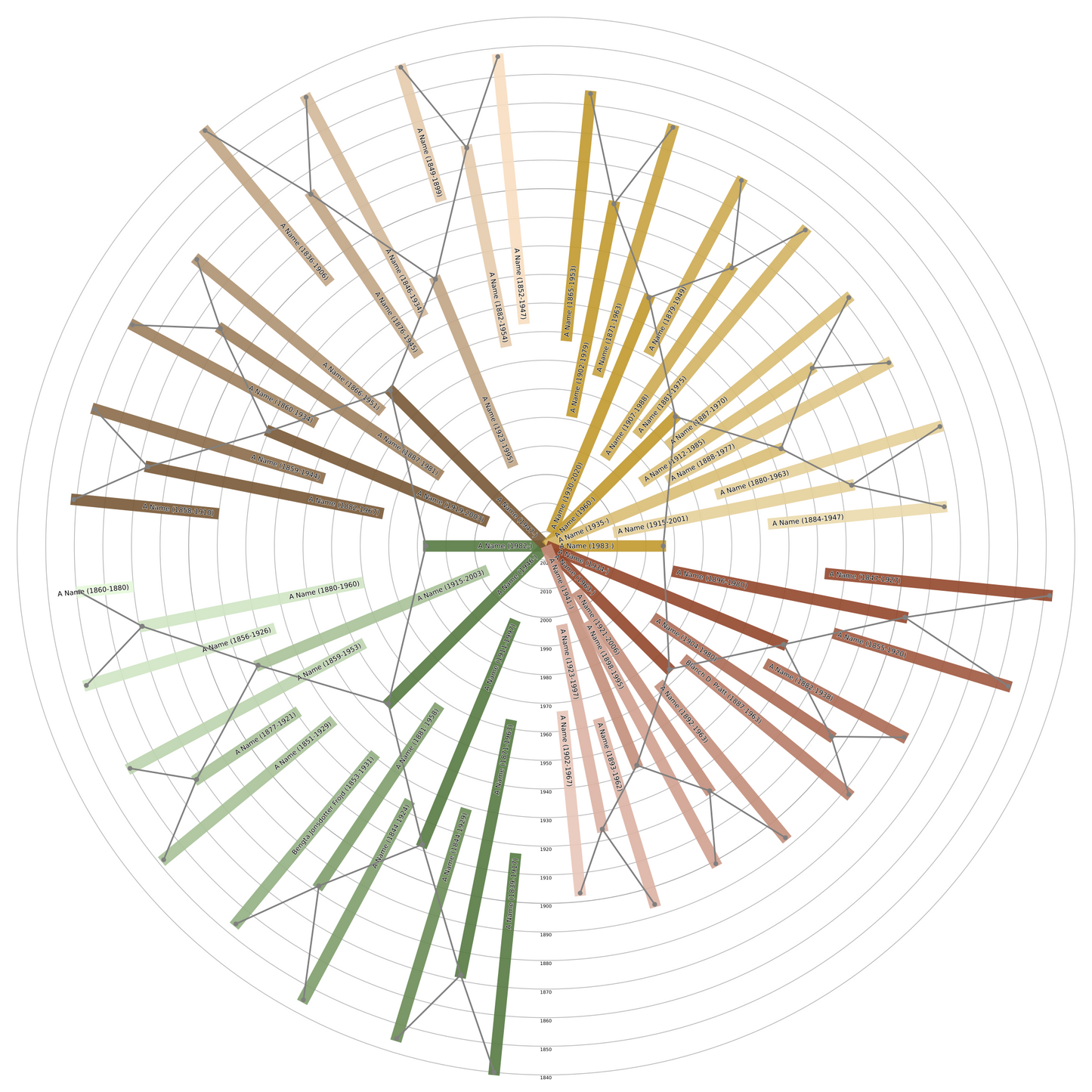 Sunburst Family Tree Print