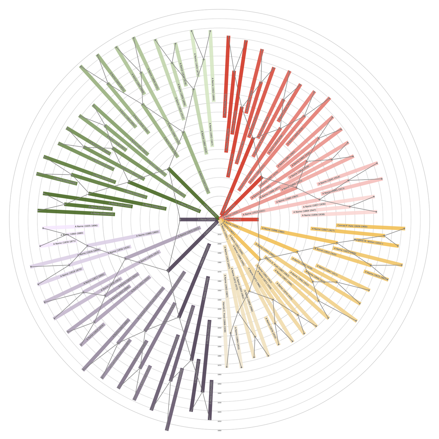 Sunburst Family Tree Print