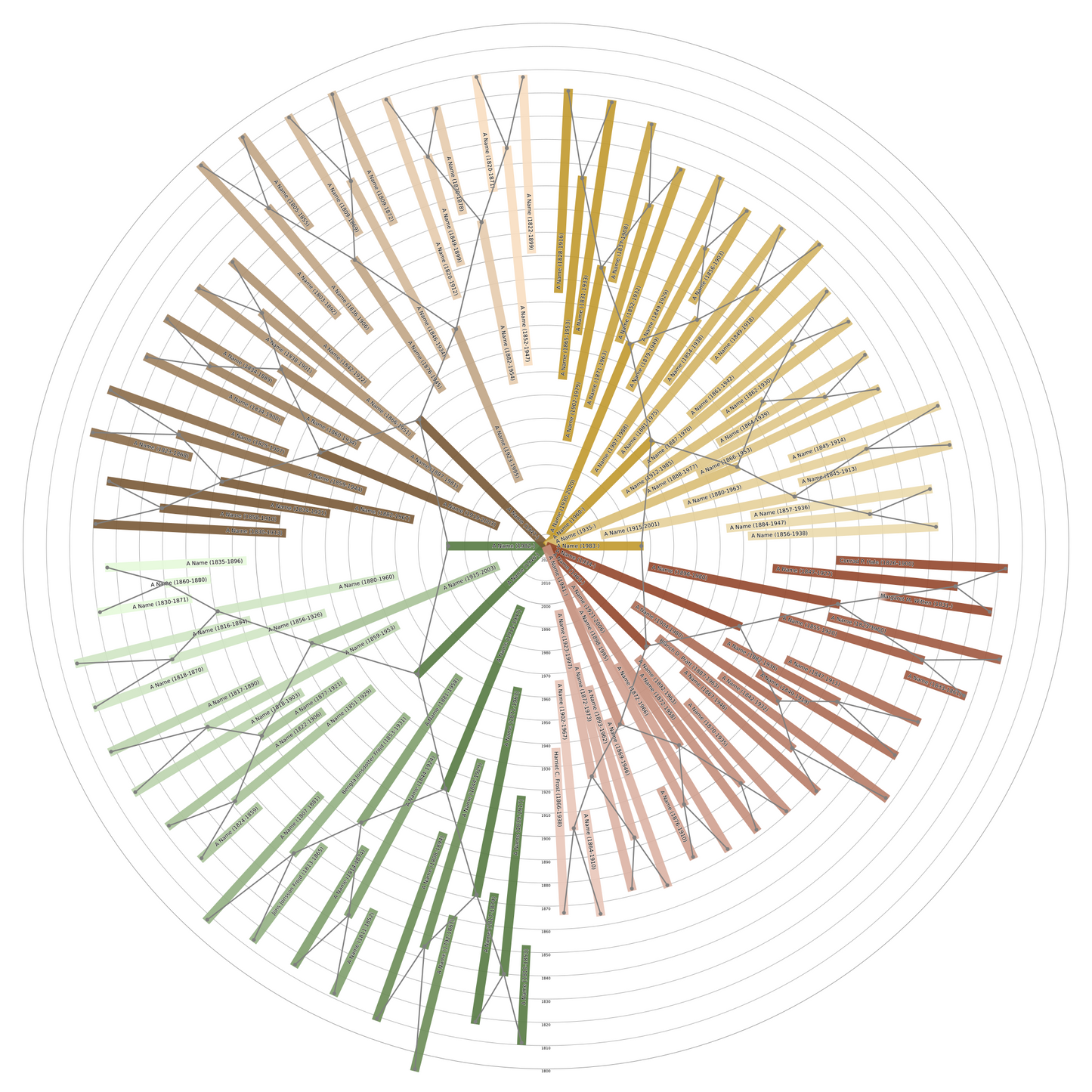 Sunburst Family Tree Print