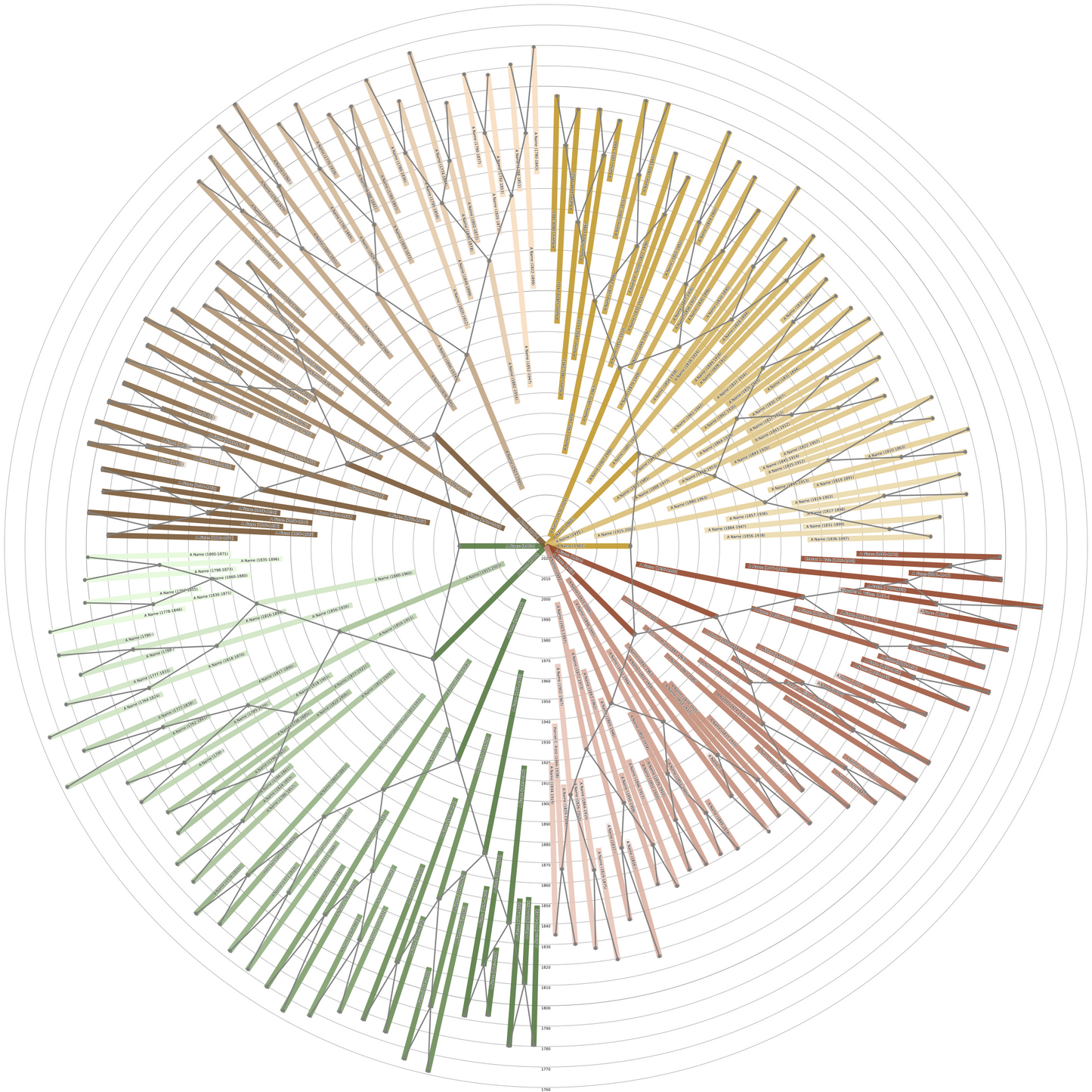 Sunburst Family Tree Print